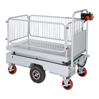 Self Propelled Electric Scissor Lift (Double lift)