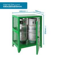Fork Gas Storage Cage - 2 Cylinders