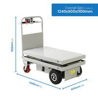 Self Propelled Electric Scissor Lift Trolley (single scissor)