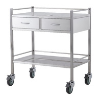 Double Stainless Steel Instrument Trolley (with 2 Drawers side by side)