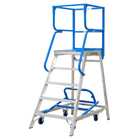Access Platform Ladder - 5 Step