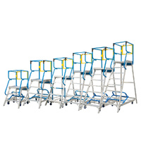 Walk-through Access Platform Ladders 