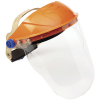 Face Shield